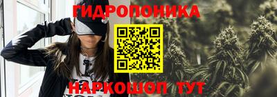 ешки Будённовск