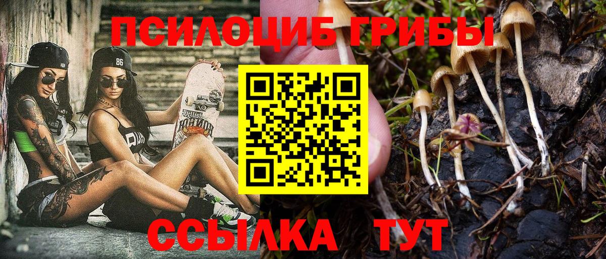 Псилоцибиновые грибы Cubensis Прокопьевск